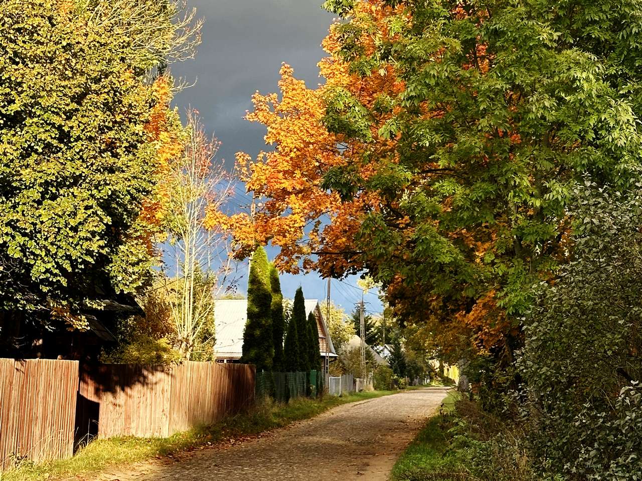 nature-lodge-noclegi-w-puszczy-bialowieskiej-geranos-dom-goscinny-bachury-4